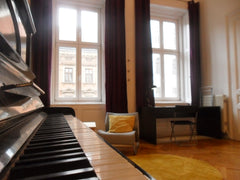 Welcome!<br /><br />Big, bright room in Vienna´s best district. Oakwood floor, h Vienna, Austria room with out-of-tune piano ¯\_(ツ)_/¯ Private room in rental unit vacation rental 3353287