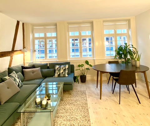 You Won't Find a More Central Place to Stay in Copenhagen! This charming, Tudor- Copenhagen, Denmark Luxury 'Kings Garden' City-Flat In Center Of Town Entire rental unit vacation rental 36560474