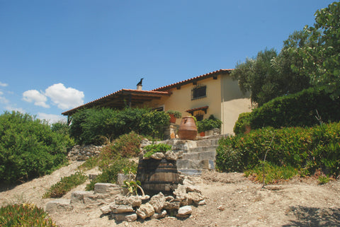 A warm house up in the hill with all the comforts of a holiday resort. Its locat Greece Villa Petrinos Lofos - Made of Wood & Stone Entire cottage vacation rental 5118721