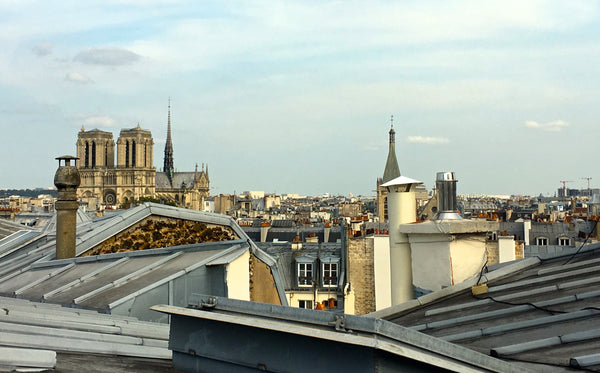 Amazing Loft newly renovated in Saint Germain, with view over Notre Dame, The Pa Rome, Italy Loft des Artistes - Loft in St Germain Notre Dame Entire rental unit vacation rental 20742504