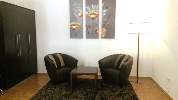 Das Haus an der Ecke Alserstraße/Kochgasse ist ein Alt-Wiener Bürgerhaus in zent  Josefstadt Entire serviced apartment vacation rental 44790477
