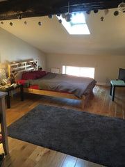 Exceptionnellement et à l'occasion de la fête des lumières nous vous proposons 1 Lyon, France Chambre proche Bellecour Private room in rental unit vacation rental 21875638