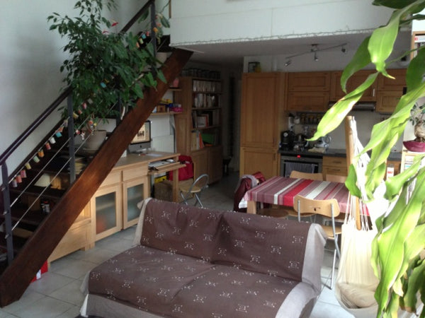 cosy and confortable apartment located near Montmartre in a quiet and multicultu Paris, France Very bright duplex, large terrace Entire condo vacation rental 907965