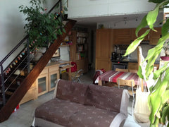 cosy and confortable apartment located near Montmartre in a quiet and multicultu Paris, France Very bright duplex, large terrace Entire condo vacation rental 907965
