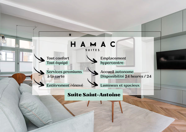 A unique accommodation, an exceptional location, exceptional facilities! <br />T Lyon, France Hamac Suites - Suite St Antoine Entire rental unit vacation rental 685223007658700108