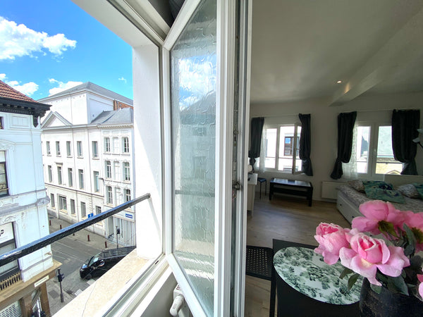 Bonjour  Apartments in the historical center of the city, all the most important Antwerp, Belgium Bonjour Apartments (Centre.) 3 Entire rental unit vacation rental 43777316