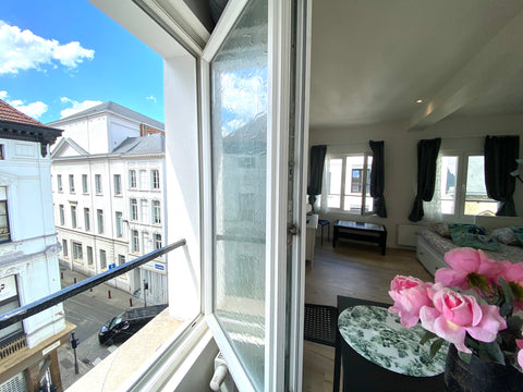 Bonjour  Apartments in the historical center of the city, all the most important Antwerp, Belgium Bonjour Apartments (Centre.) 3 Entire rental unit vacation rental 43777316