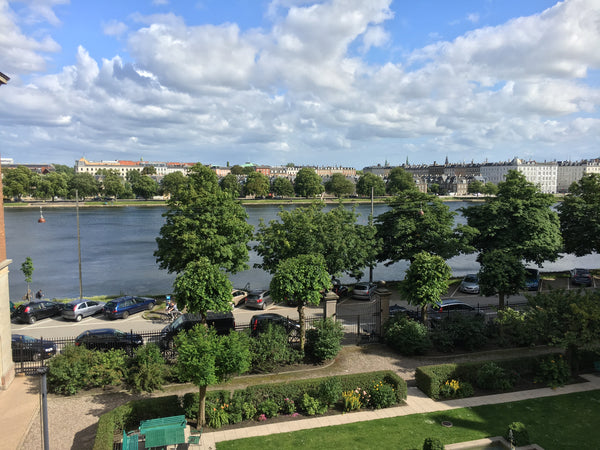 Lovely and spacious apartment on Østerbro, Copenhagen. Wonderful view over the l  Spaciuos 148 m2 apartment with beautiful lake view Entire rental unit vacation rental 19637637