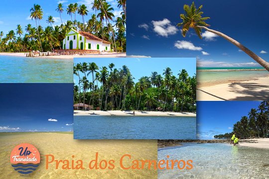 Carneiros Beach Tour  Private Tours and Travel Guide America Recife CITY Porto de Galinhas Destination Tour