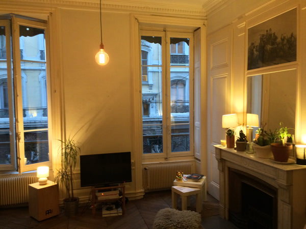 Bel appartement de 60m2 proche de l'Hotel de Ville, idéalement situé dans le cad Lyon, France App. cosy en plein centre de Lyon Entire rental unit vacation rental 9489532