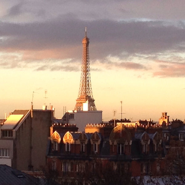 Bonjour!<br />Traveling to Paris? Stay in the flat with the best view of the cit Paris, France Go to bed with the Eiffel Tower! Entire rental unit vacation rental 9839721