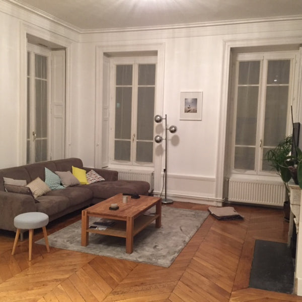 Nous disposons d'une chambre vide actuellement où nous pouvons installer un mate Lyon, France Loue chambre dans appartement 85m2 Private room in rental unit vacation rental 9268460
