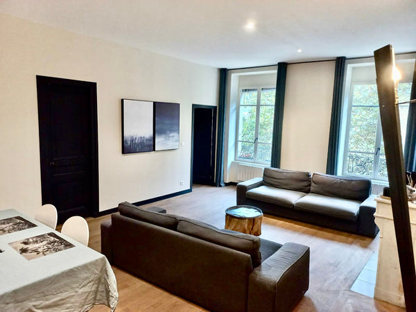 Vue imprenable sur la Saône, agréable appartement T3 (70m2) pour 4 pers, refait   Superbe appartement lyonnais, vue sur Saône Entire rental unit vacation rental 762359233393864043