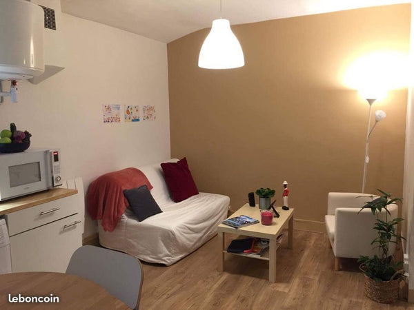 Bonjour, <br /><br />Je loue mon appartement le week-end dans l'hypercentre de L Nancy, France Appartement presqu'île Lyon 02 Entire rental unit vacation rental 21945555