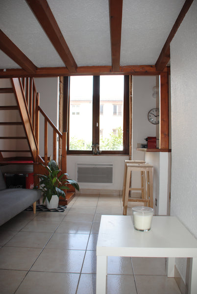 In a quiet and historic district of Lyon, on the banks of the Saône just next to Lyon, France Quiet and bright studio on the banks of the Saone Entire rental unit vacation rental 24694605
