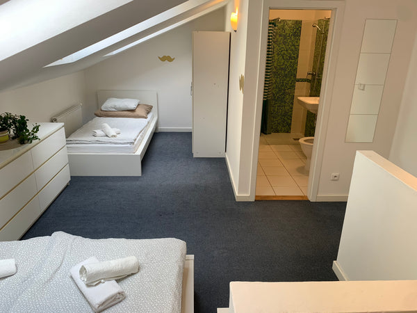 Prague, Czechia Little Tom Privat Apartment A Entire condo vacation rental 50282738