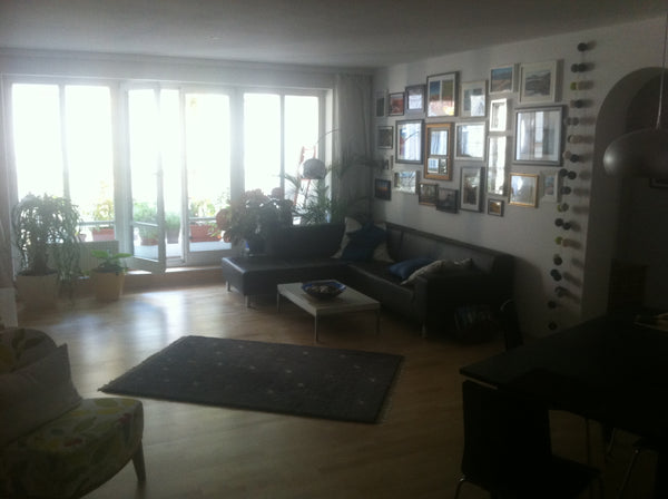 Very quiet and cozy apartment in suburbian Vienna - still you are a the first di Vienna, Austria Spacious and suburban apartment Entire rental unit vacation rental 300074