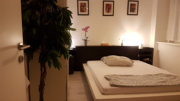 As I'm leaving for holiday , my bedroom would be free again l. It's  very bright Vienna, Austria Cosy bright room in shared flat Private room in rental unit vacation rental 37749742