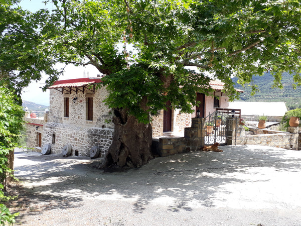 Traditional and private,quite and comfortable.  Within nature and tradition,Idea Chania, Greece Traditional house koukounara Entire townhouse vacation rental 18402459