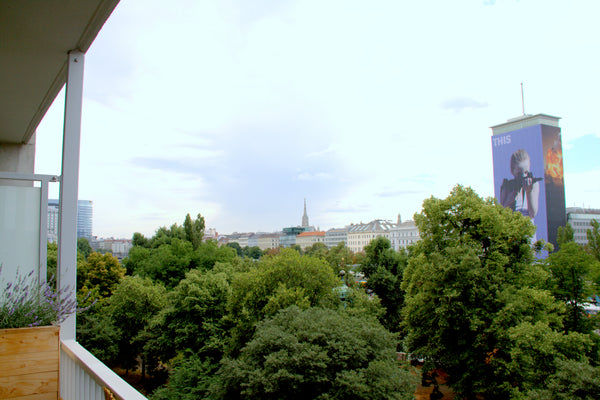 The shared Apartment offers a tidy bedroom with a king size bed. The fully furni  Cosy room with view over the danube chanel Private room in rental unit vacation rental 24423835