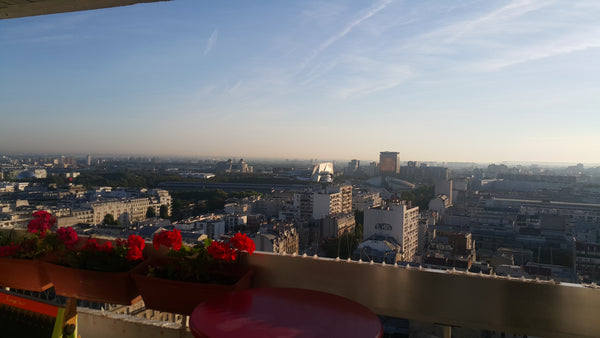 Entre 2 parcs Buttes Chaumont et la Villette mon logement est proche de canal Ou Paris, France Ideal for family! Entire rental unit vacation rental 16009915