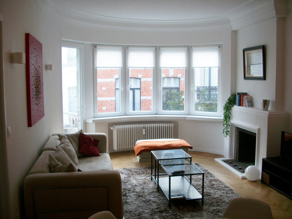 IDEAL FOR a couple or a single person in transition, for your stay in Brussels.  Gent, Belgium Luxury Louise - Stéphanie home Entire rental unit vacation rental 2281629