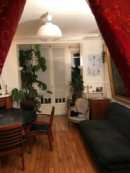 Very Quiet Parisian apartment with 2 rooms in the center of Paris. Close to the   Charming and Cosy Parisian Apartment Montmartre Entire rental unit vacation rental 29951698