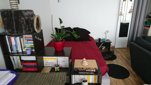 The flat in a neighborhood close to all amenities.  4 big supermarket , as well  Paris, France The sunny flat Entire condo vacation rental 17979034