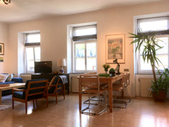 Bright and airy studio apartment in walking distance to the City Center, very cl Vienna, Austria Beautiful Vienna Mini Loft Entire loft vacation rental 8033067