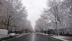 Imaginez,<br />Vous vous réveillez en plein cœur de Paris sur Saint Germain des   Comme un cocon posé sur un lit de verdure Entire rental unit vacation rental 22479602