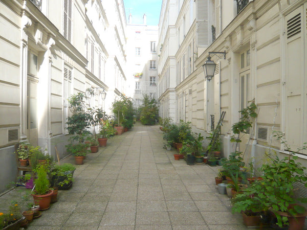 A nice and quiet 2 bedroom on the 3rd floor of a 19th century building in a char Monthermé, France 2 bedroom in a courtyard in Belleville Entire rental unit vacation rental 3434134