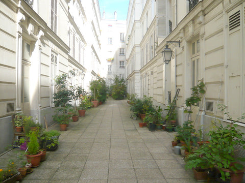 A nice and quiet 2 bedroom on the 3rd floor of a 19th century building in a char Monthermé, France 2 bedroom in a courtyard in Belleville Entire rental unit vacation rental 3434134