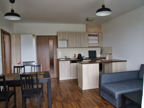 Newly furnished apartment, well accessible from the airport (about 25 minutes by Prague, Czechia Byt v Praze v blízkosti metra Entire rental unit vacation rental 26300556