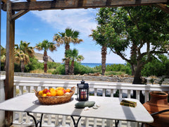 Comfortable house just a few steps from the beach. "Eco Friendly"There are roof  Andros, Greece By the sea Cycladic home vacation rental 35002451