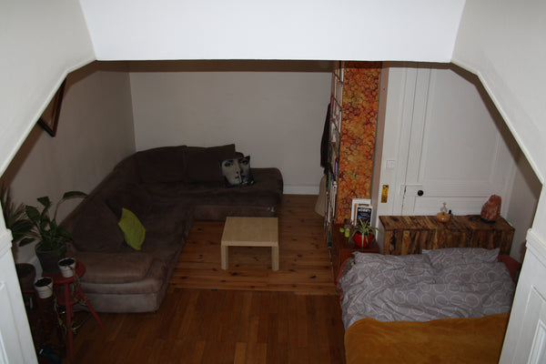 Grande chambre dans un ancien appartement de 58m² situé dans le 7ème arrondissem Lyon, France Appartement cosy Private room in rental unit vacation rental 21509515