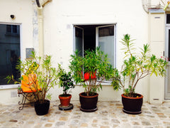 House/Flat on ground level overlooking a sunlit courtyard, near the canal. Enjoy Paris, France Great house near the canal Entire townhouse vacation rental 6841925