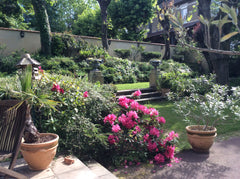Au 2ème étage d'une villa de la fin du 19ème siècle, dans un environnement  calm Tassin-la-Demi-Lune, France Chambre spacieuse dans villa Private room in home vacation rental 9627283