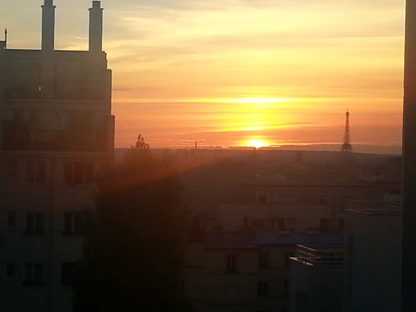 Beautiful,and peaceful flat  overlooking the roofs of Paris and offering the mos Paris, France Paris/0verlooking the Eiffel Tower Entire rental unit vacation rental 6367412