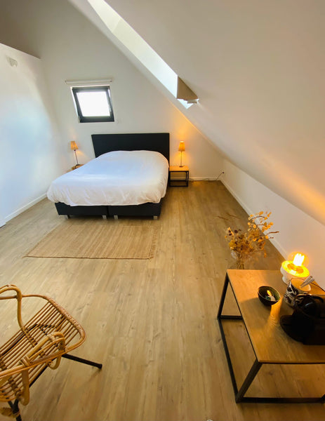 This newly renovated large room with private bathroom in the historic city centr Ghent, Belgium Stay in Historic City Centre Room in hotel vacation rental 31772747