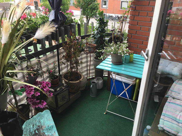 OBS! Jeg er færdig vaccineret og kan fremvise Coronapas. Jeg forventer gæster er  Hyggeligt værelse på Østerbro Private room in rental unit vacation rental 12160191