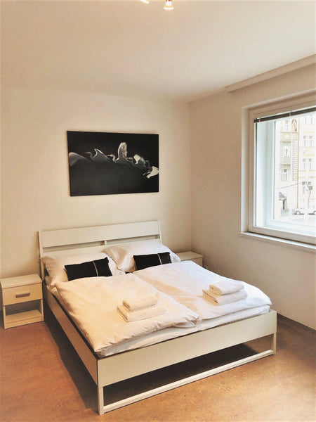 Apartmants is max. 4 persons, size 38 m²:  WC with shower, wardrobe, dining tabl  Queens 7 Apartments A1 Entire rental unit vacation rental 39643133