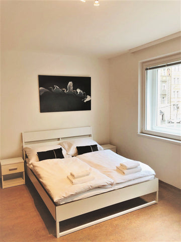 Apartmants is max. 4 persons, size 38 m²:  WC with shower, wardrobe, dining tabl  Queens 7 Apartments A1 Entire rental unit vacation rental 39643133