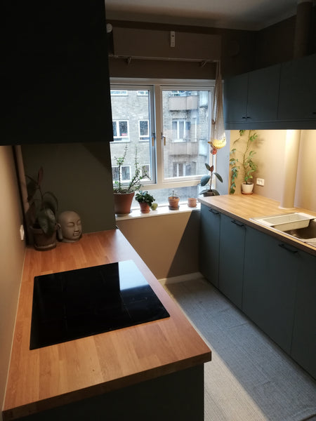 Our home is a renovated two room apartment with kitchen, bathroom, entrance, two Copenhagen, Denmark Newly renovated 2 room apts. 5 min to CPH downtown Entire rental unit vacation rental 566641908701700554