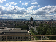 Ce logement unique est proche de tous les sites et commodités, (Métro du tram et Lyon, France Appartement avec vue imprenable sur Fourvière Entire condo vacation rental 50500453