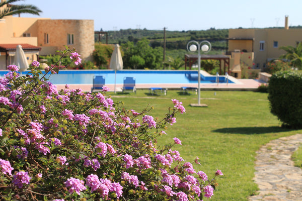 garden level flat with 2 bedrooms 75 m2 marble floor in olive groves. It's perfe  HUGE SWIMMING POOL in LUXURIOUS residence Entire condo vacation rental 17760155