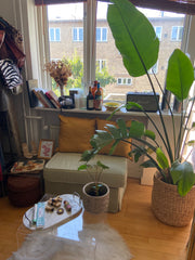 Hyggelig lille oase med massere af planter  mellem by og strand i et roligt områ Copenhagen, Denmark Hyggelig lille oase mellem by og strand Entire condo vacation rental 37508843