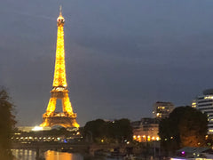 Séjournez à Paris dans un appartement spacieux, lumineux et entièrement équipé.  Paris, France APPARTEMENT Tour Eiffel 2 à 4 pers Entire rental unit vacation rental 29725174