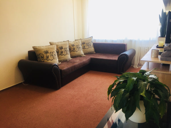 Its a family apartment. NO GROUPS!!! ONLY FAMILIES!! The price on the webside is Prague, Czechia Family apartment  in Prague 13 Entire rental unit vacation rental 26178911