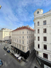 In the heart of Vienna, close to the Golden Quarter, the Hofburg, Stephan House  Vienna, Austria Stairway to heaven in Vienna old town / 3 Entire condo vacation rental 580968319146198949