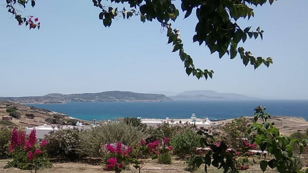 After ten minutes walking distance from the village  you reach Stella's Home two Naxos, Greece Stella's Home two spaces apartment with sea view Cycladic home vacation rental 19205589